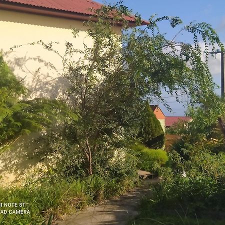 Petit Appartement Dans Une Maison Individuelle Le Tampon Exterior foto